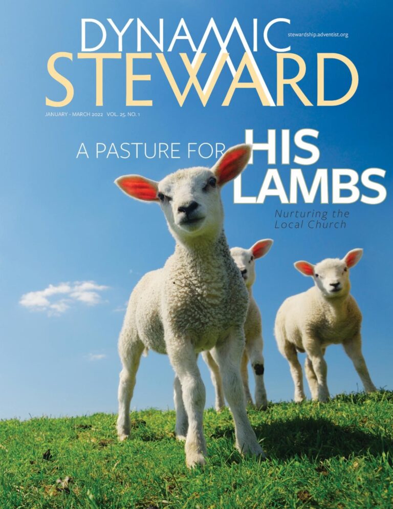 Dynamic Steward Magazine Stewardship